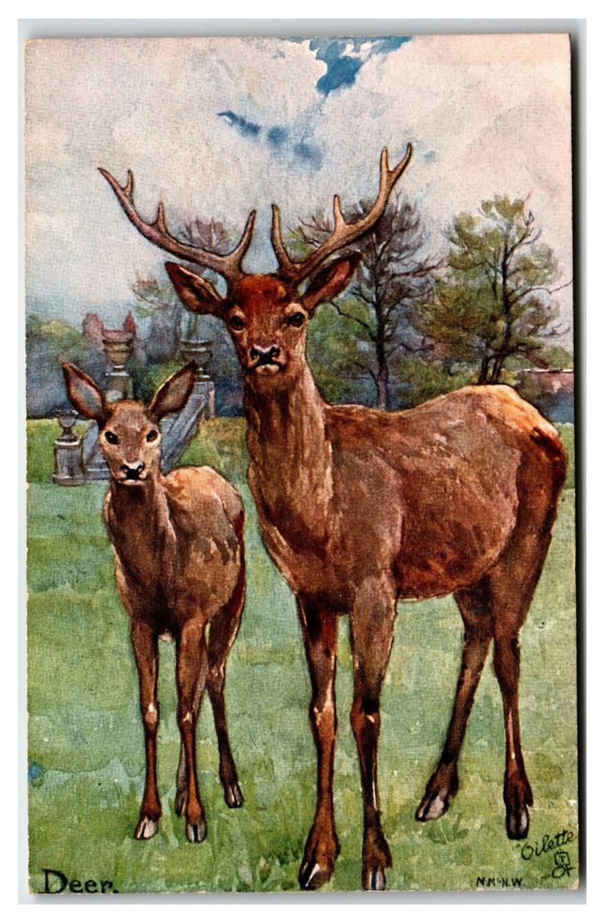 Raphael Tuck Oilette Postcard 9152 Red Deer Stag & Fawn Bavaria Zoo Studies